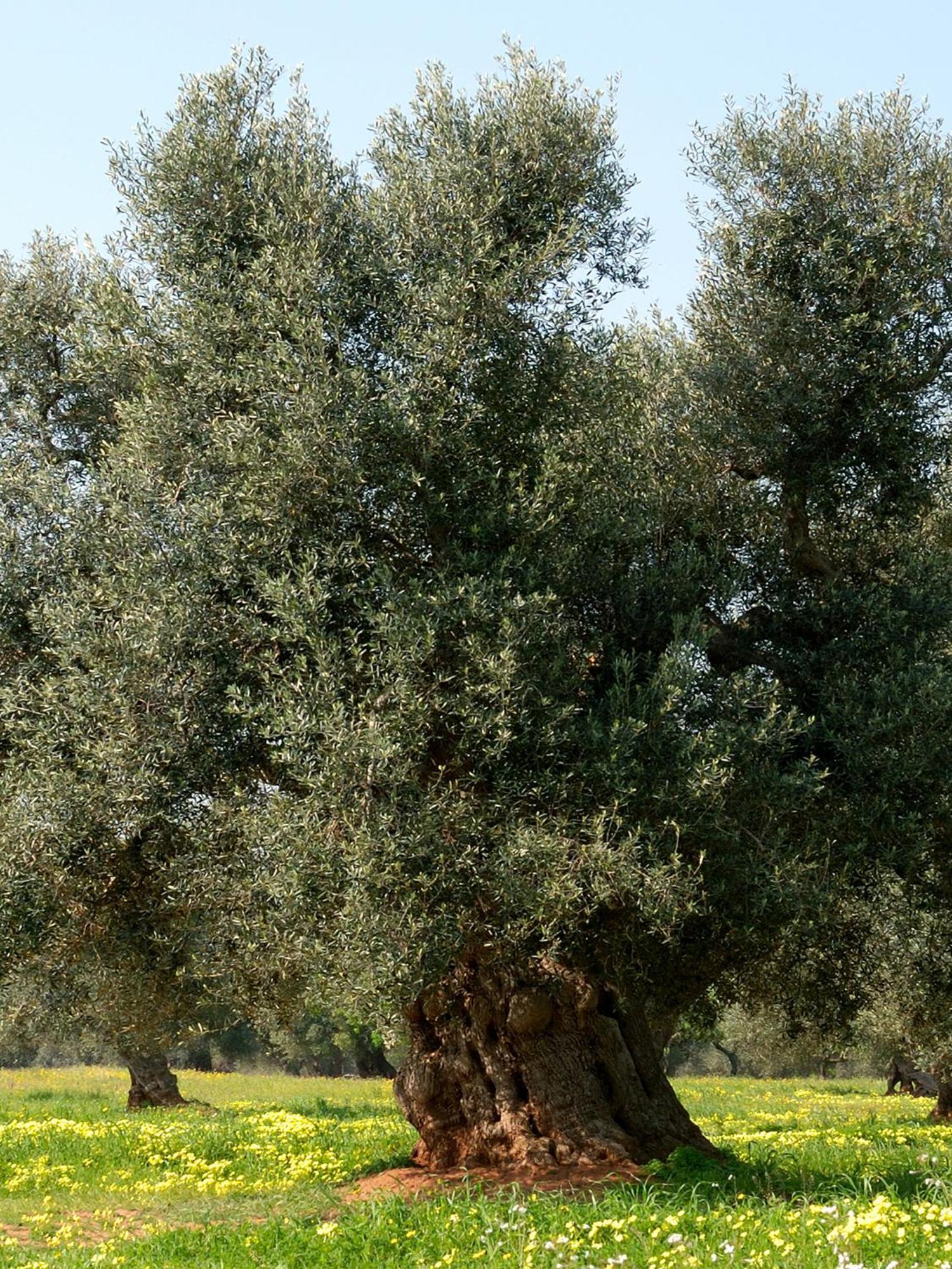 فندق Al Ristoro توري سانتا سابينا المظهر الخارجي الصورة